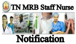 TN MRB Nurse Recruitment 2019 Apply Online 520 Staff Nurse Vacancy Notification 