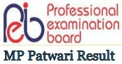 MP Patwari Result 2019~ Patwari Merit/ Selected List