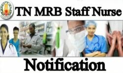 TN MRB Staff Nurse Notification 2019 Apply Online 520 Jobs, Eligibility