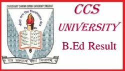 CCS University B.Ed Result 2019~1st 2nd Year Mark Sheet
