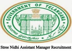 Stree Nidhi Assistant Manager Apply Online 2019 AM 144 Jobs, Eligibility